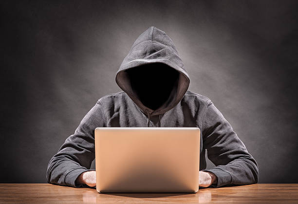 hacker picture of a hacker on a computer animals hunting stock pictures, royalty-free photos & images