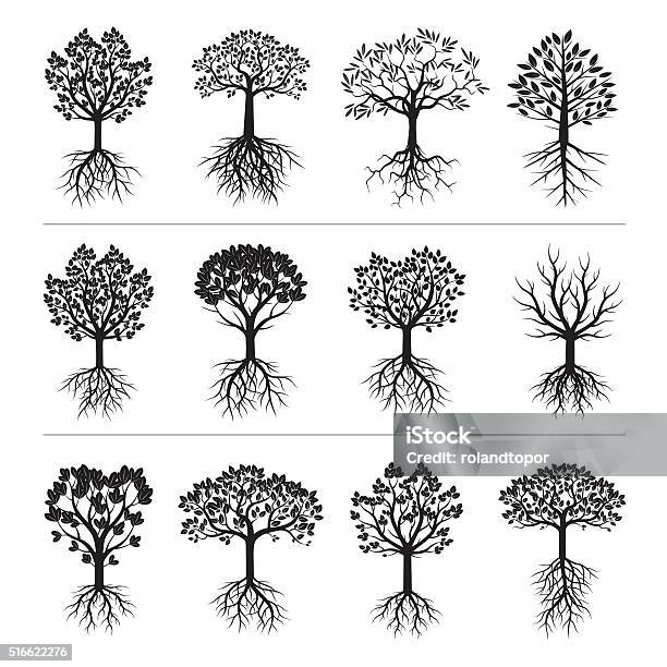 Set Of Black Trees And Roots Stock Illustration - Download Image Now - Tree, In Silhouette, Root