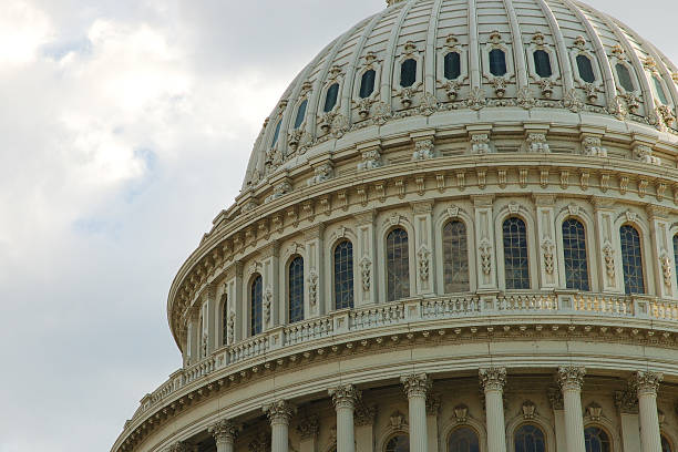 istock Dome of US Capitol Detail 516622982