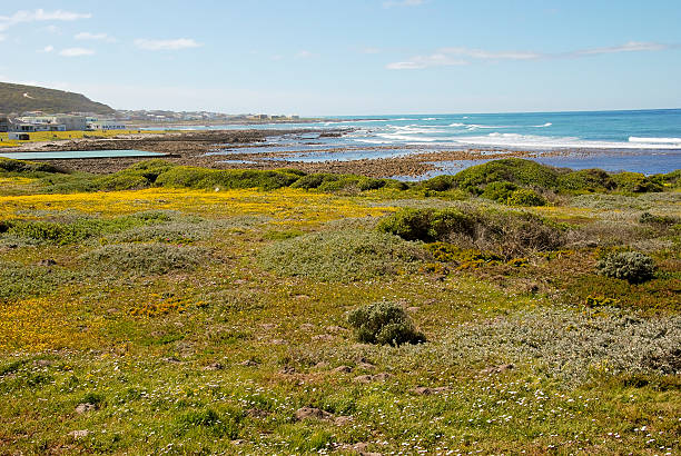 istock Coast of Africa - Cape point in RSA 516623382