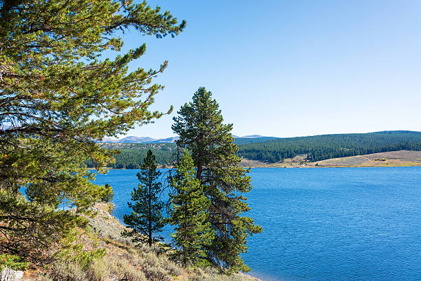 istock Meadowlark Lake and Trees 516623516