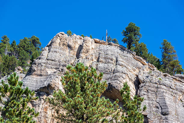 cliff rosto em sul piney canyon - bighorn national forest blue wyoming green - fotografias e filmes do acervo