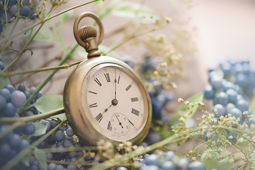 Vintage pocket watch displayed in a bunch made from baby's breath and berries