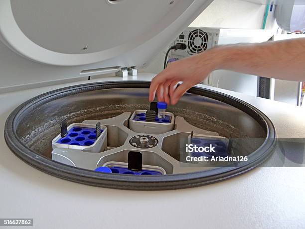 Scientist Putting Test Tube Into Centrifuge Embryologist Stock Photo - Download Image Now