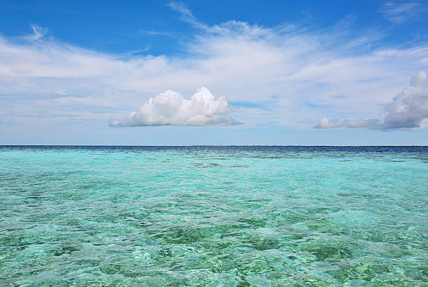 istock Green Sea, Sabah Borneo 516628712