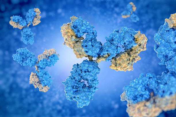 istock antibodies to cell movement of the virus 516629150