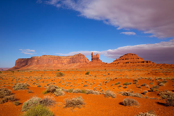 istock View from US 163 Scenic road to Monument Valley Utah 516632001