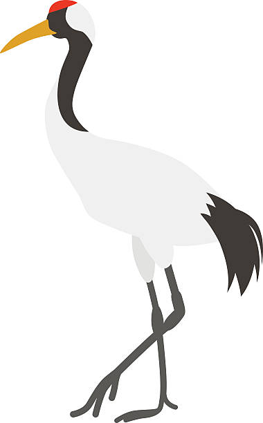 Japanese Crane Japanese Crane Illustration. japanese crane stock illustrations