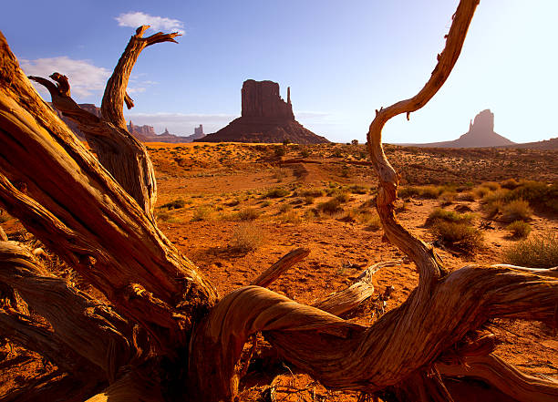 istock Monument West Mitten Butte in morning Utah 516633117