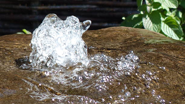 istock Around our pond / Rain, dew and water – Backgrounds..... 516633653