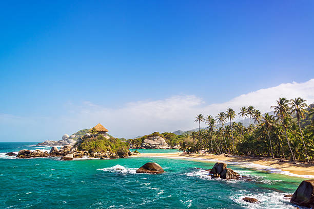 magnifique plage de tayrona - colombien photos et images de collection