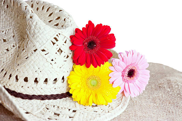 Straw hat with gerberas stock photo