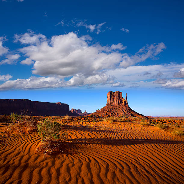 istock Monument Valley West Mitten Butte Utah Park 516634861