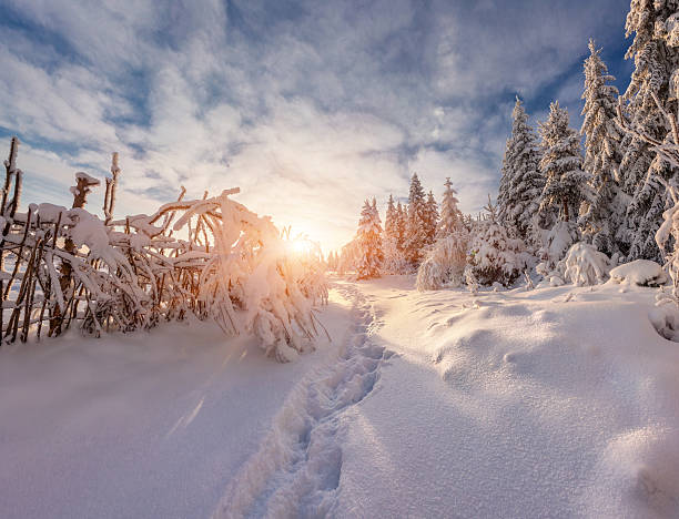 istock Colorful winter sunrise in the mountains 516636641