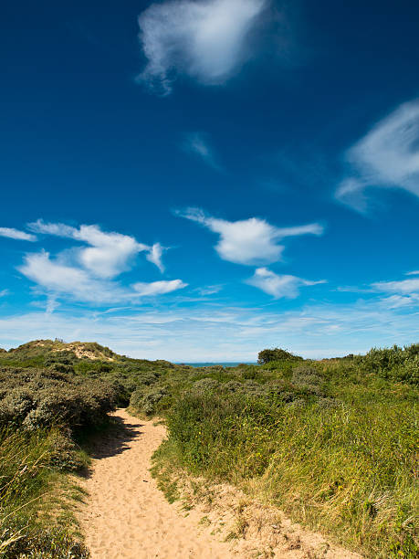 istock Summer landscape at the coast 516638287