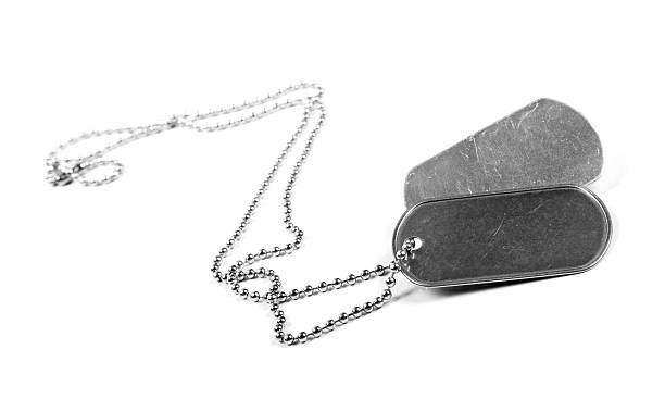 istock blank metal tags hanging on chain. isolated on a white 516639289
