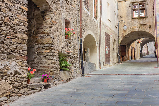 istock the charming medieval village of bard 516650060