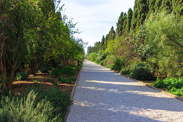 istock path of crushed stone with trees and shrubs 516650738