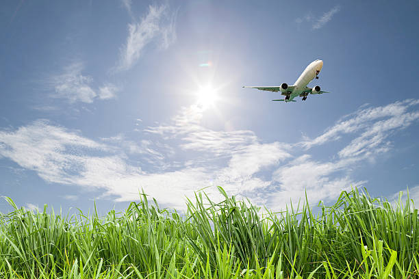 istock Passenger airplane landing on blue sky background 516651718