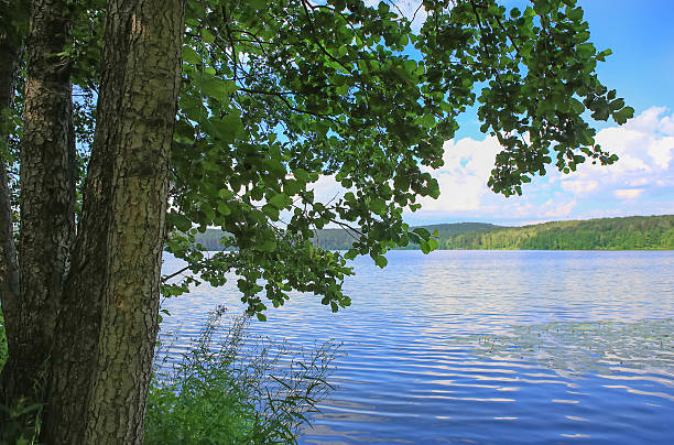 lake Kisegach in Russia