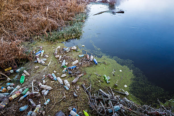istock Pollution reservoir household waste. 516655380