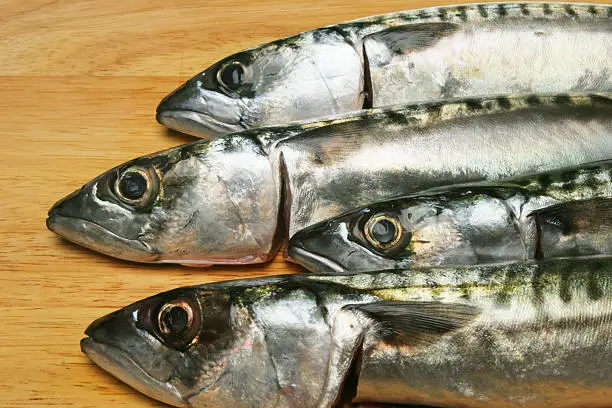 Closeup of mackerel heads on a wooden board