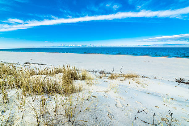 istock Beautiful beach sea landscape. Sandy beach and grass sand dune 516656418