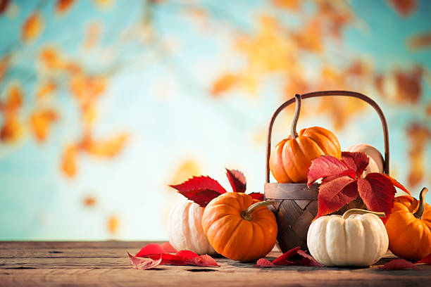 pumkins con spazio copia - pumpkin autumn october squash foto e immagini stock