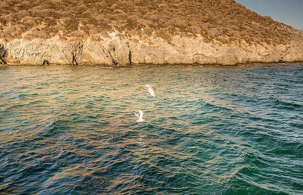 Isla Grosa - Spanish island near La Manga