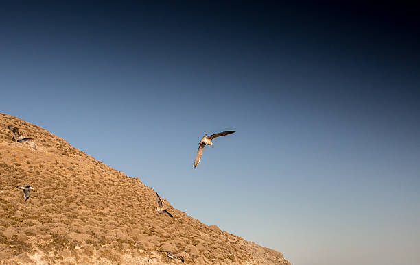 istock Isla Grosa - Spanish island near La Manga 516660450