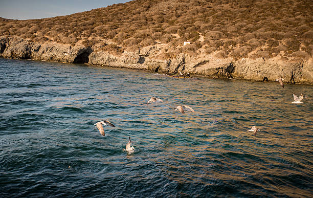 istock Isla Grosa - Spanish island near La Manga 516660632