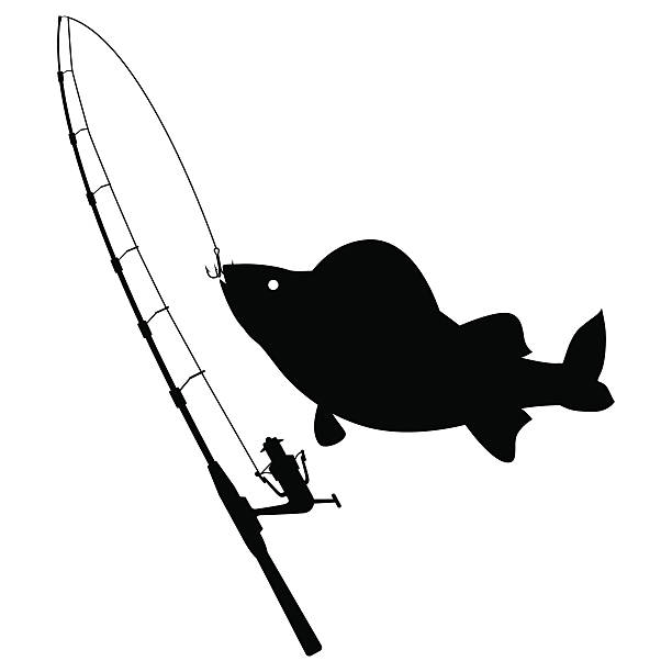 https://media.istockphoto.com/id/516679694/vector/fishing-illustration-with-fish.jpg?s=612x612&w=0&k=20&c=srtbVQ1Cp3dTr-3HaHktF2wKFzjVEwd9PYi4MCR5vL4=