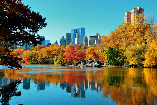 Central Park otoño photo