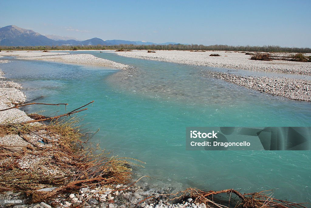 Tagliamento Floodplain The wide floodplain of the Tagliamento River in the northern Italian region of Friuli, known as 'Il Tagliamento'. This braided river flows from the Alps to the Adriatic. It is spring and the deciduous trees are starting to grow their leaves Blue Stock Photo
