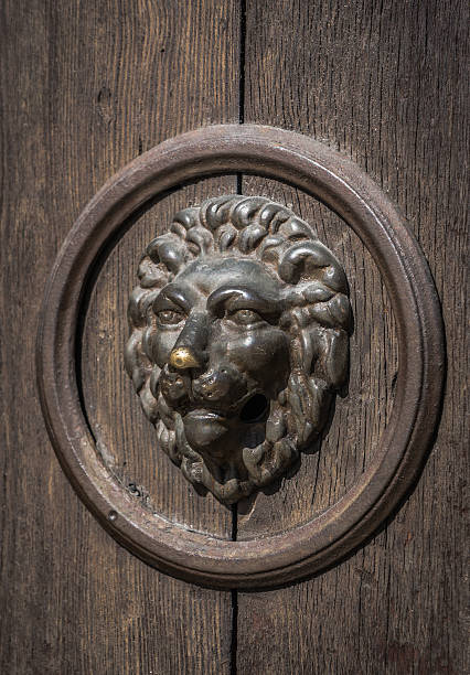 istock lion head on the door, black and white 516682236
