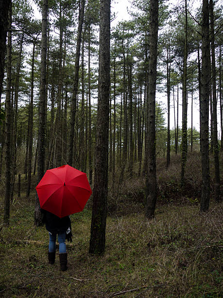 istock Red Umbrella in the Woods 516682466