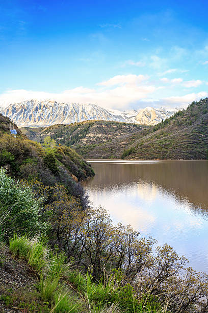 istock Beautiful nature close to famous Aspen, Colorado 516683040