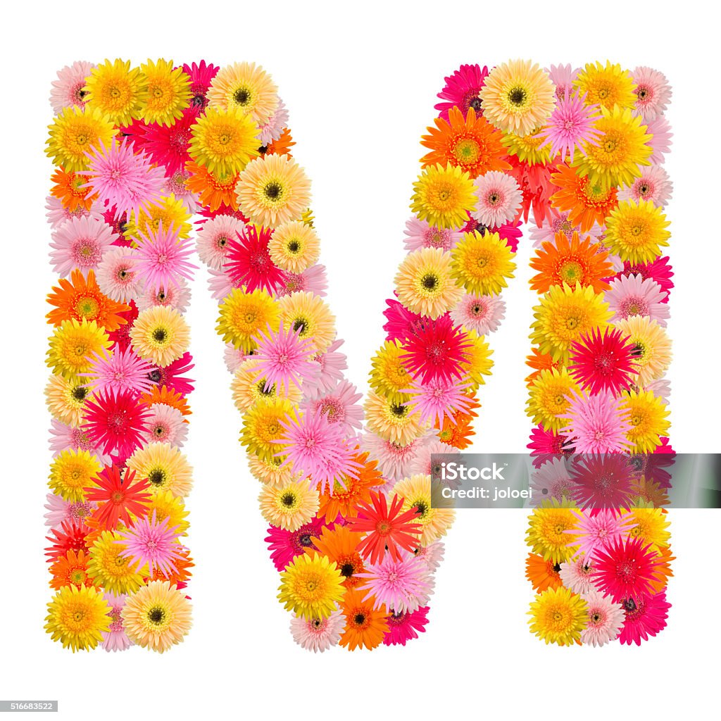 Letter M Alphabet With Gerbera Isolated On White Background Stock ...