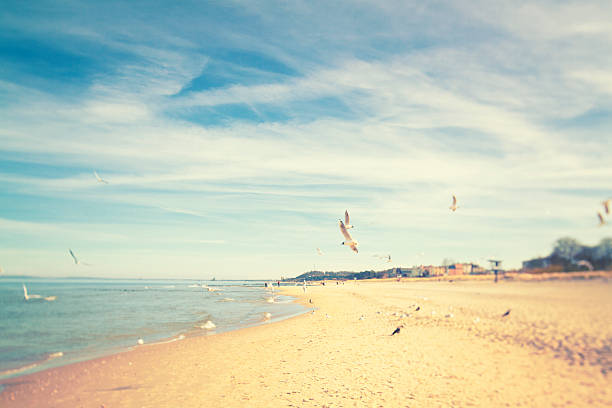 Day at the Sea. 