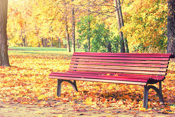 istock Bench in the autumn park 516683701