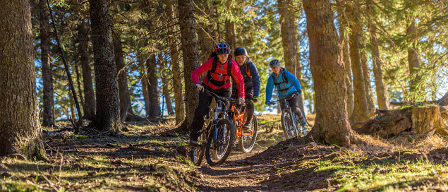 People enjoying mountain biking in forest with trees in background.