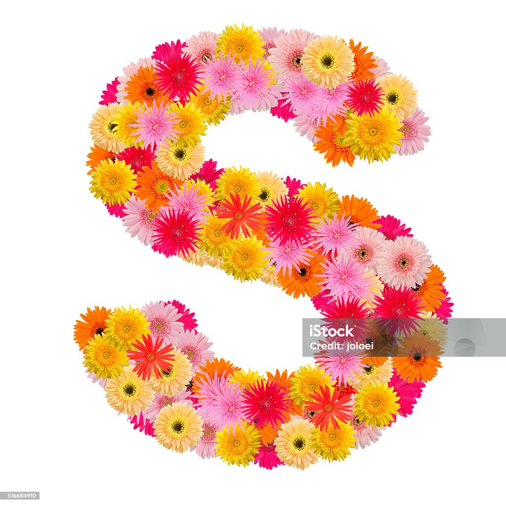 Letter S Alphabet With Gerbera Isolated On White Background Stock ...