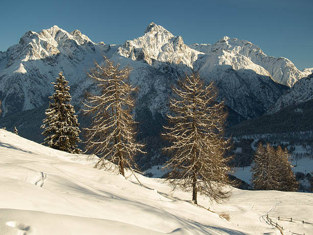 istock Three peaks, three trees, Swiss Alps, Engadine, Switzerland 516685381