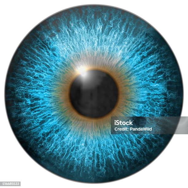 Eye Iris Generado Contrataciones Textura Foto de stock y más banco de imágenes de Ojo - Ojo, Iris - Ojo, Recortable