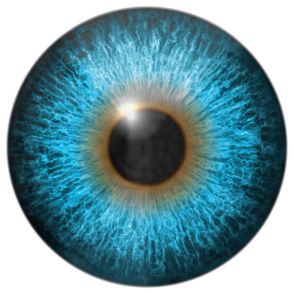 Eye iris generated hires texture