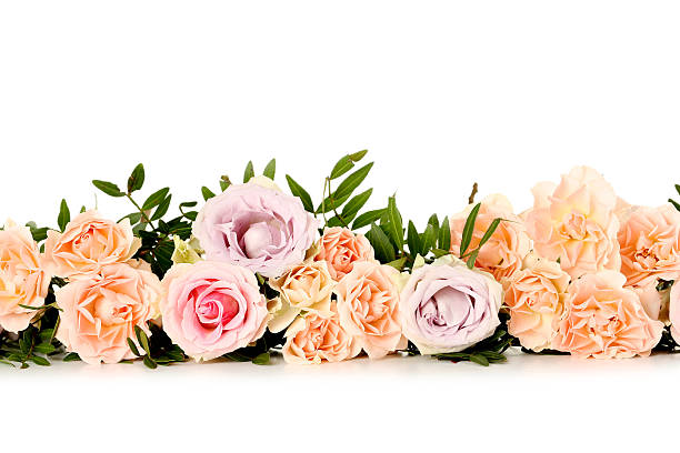 istock Bouquet of beautiful roses on a white background 516685774