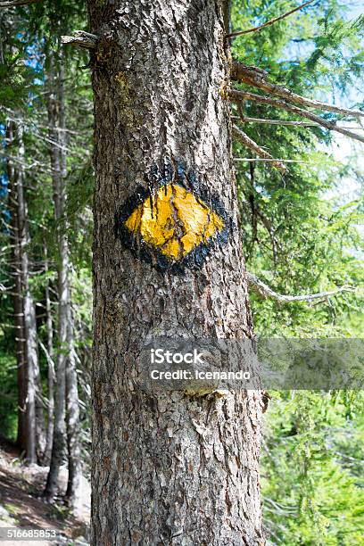Tour Of Mont Blanc Rhombus Logo On Tree Stock Photo - Download Image Now - Direction, Directional Sign, Europe