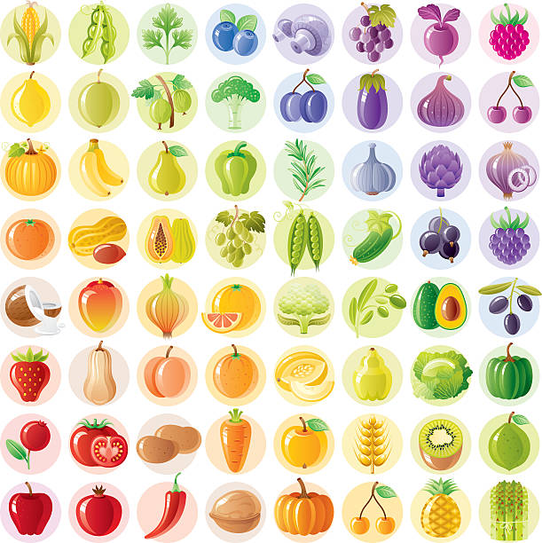 illustrazioni stock, clip art, cartoni animati e icone di tendenza di vegetariano arcobaleno con frutta, verdura, frutti di bosco - light vegetarian food garlic spice