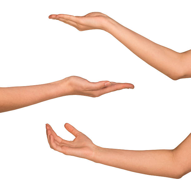 istock Set of woman arms 516686592