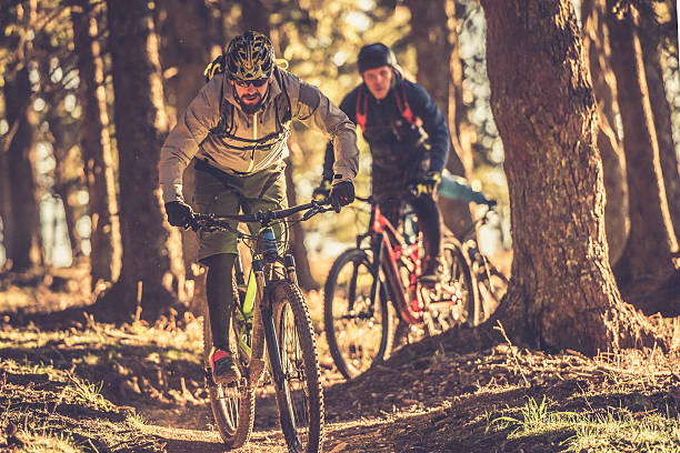 istock People enjoying mountain biking 516686926
